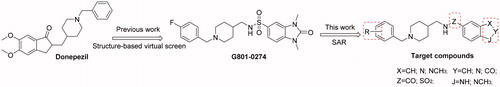 Figure 1. Design of a series of 1,3-dimethylbenzimidazolinone derivatives as cholinesterase inhibitors.