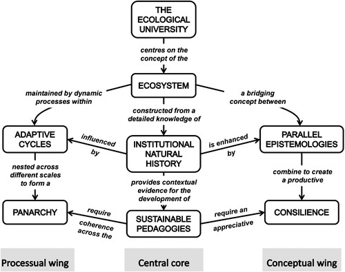 Figure 1. A concept map of the central ideas of the ecological university (modified from Kinchin Citation2022a).