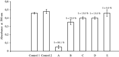 Figure 3. Cytotoxic effect of K2[B3O3F4OH] on mammary adenocarcinoma 4T1 cell line. (Control 1) Cells without the addition of K2[B3O3F4OH] and in the absence of Ca2+ ions; (Control 2) cells without the addition of K2[B3O3F4OH] and in the presence of different concentrations of Ca2+ ions 9.42–72.42 mM (average value); (A–E) cells after the addition of 3.85 mM K2[B3O3F4OH] and in the presence of Ca2+ ions: (A) 0.42 mM, (B) 9.42 mM, (C) 18.42 mM, (D) 36.42 mM and (E) 72.42 mM.