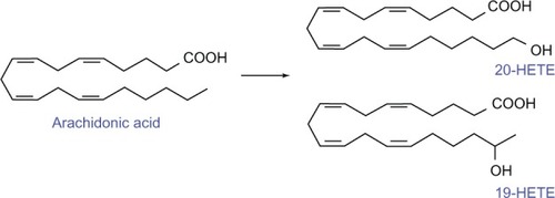 Figure 1 Synthesis of 20-HETE.