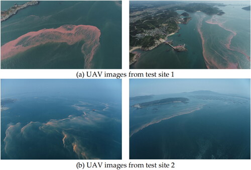 Figure 11. The illustration of collected UAV images for red tide monitoring.