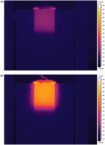 Figure 5. Infrared camera image acquired at (a) 40 s after the DC source is turned on and (b) t = 300 s, during heating period.