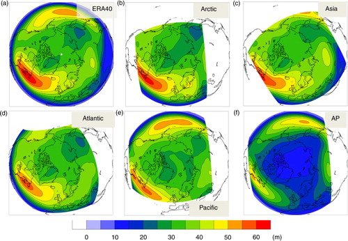 Fig. 6 Storm track calculated as a standard deviation of bandpass (2.5 – 6 d) filtered DJF 500 hPa geopotential height (m), see main text for more details.