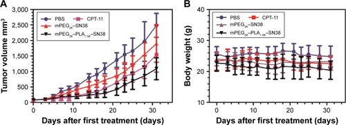 Figure 6 Antitumor efficacy of SN38–polymer micelles.Notes: (A) Antitumor effect of control and SN38–polymer conjugate micelles on BALB/c tumor-bearing nude mice. (B) Body weight change of BALB/c tumor-bearing nude mice after intravenous injection according to a dose schedule regimen of three injections at 3-day intervals (n=7).Abbreviations: mPEG, methoxy poly(ethylene glycol); PLA1.5K, poly(lactide); CPT-11, camptothecin-11; PBS, phosphate-buffered saline; SN38, 7-ethyl-10-hydroxy camptothecin.