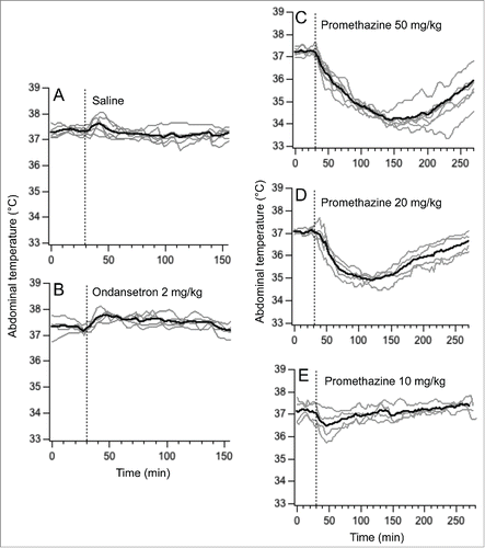 Figure 3. Changes in abdominal temperature induces by i.p. injections of saline (A), ondansetron 2 mg/kg (B) and promethazine 50 mg/kg (C), 20 mg/kg (D) and 10 mg/kg (E). Dashed lines indicate injection time. Gray traces - individual recordings; black traces - averaged data.