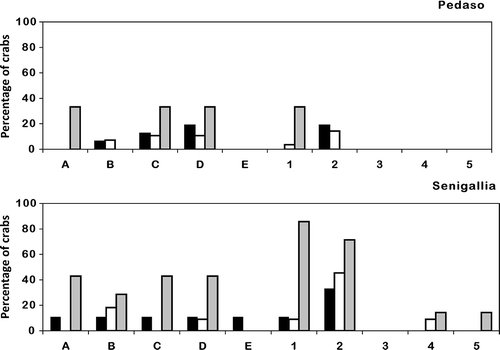 Figure 5. Percentage of crabs covered with algae on the various regions of the exoskeleton: rostrum (A), left side of carapace (B), right side of carapace (C), central region of carapace (D), back region of carapace (E), claws (first pair of pereopods) (1), second pair of pereopods (2), third pair of pereopods (3), fourth pair of pereopods (4), fifth pair of pereopods (5). Females, black bars; males, white bars; juveniles, grey bars.