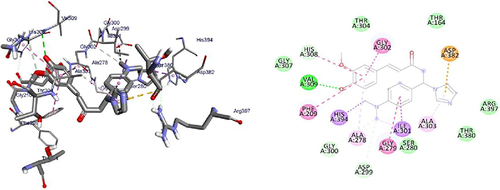 Figure 6 3D (right) and 2D (left) representations of the binding interactions of 16 against PqsA (PDB ID: 5OE3).