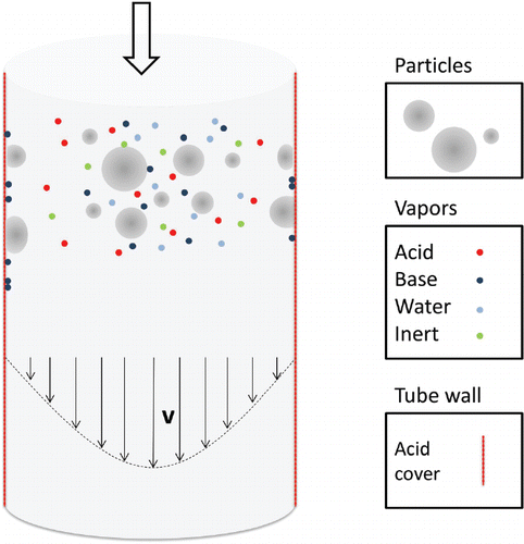 Figure 1. Draft of the experimental setup. Particles, gaseous molecules (acids, bases, water and inert) travel along the parabolic flow profile (thin arrows stand for flow velocity and direction) in the vertically arranged denuder tube. Bases and particles are supposed to be captured when hitting the acid coated tube walls (i.e. we assume the wall to be a perfect sink for particles and bases).
