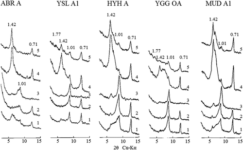 Figure 5. X-ray diffraction patterns of the clay samples from surface horizons. ABR; Anbo-gawa right side; YSL, Yakusugi-land; HYH, Hanayama-hodou; YGG, Yodogogoya; MUD, Miyanoura-dake.