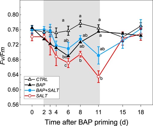 Figure 5. Variation in chlorophyll fluorescence measured in vines under salt stress (o, [SALT]), under salt stress primed with BAP (•, [BAP + SALT]), control (Δ, [CTRL]) and vines primed with BAP (▴, [BAP]) during the application of salt (gray filled area) and recovery phases. Comparing treatments at the same time different letters indicate statistically significant differences (p < 0.05). Note that when differences among treatments were not statistically significant letters are not reported. Bars are SE and are visible only when larger than the symbol.