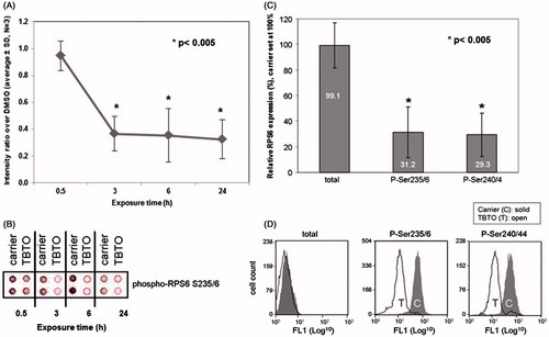 Figure 2. Effects of TBTO on phosphorylation of RPS6 in time. Jurkat T-cells were exposed to 100 nM TBTO for 0.5, 3, 6 and 24 h. (A) Average results for expression levels of phosphorylated RPS6 (Ser235/6) from three independent experiments with RTK antibody array; (B) a representative scan of the RTK antibody array. Effects of 24-h TBTO exposure on expression of RPS6 (total, p-Ser235/6 and p-Ser240/4) were further tested by flow cytometry. (C) Average results of three independent experiments; (D) representative histograms. *p < 0.005; two sample equal variance t test, two-tailed.