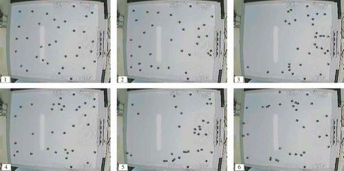 Figure 8. Experimental run of the ‘not-knowing’ strategy with a swarm of 30 robots. All the robots start the experiment with equal energy autonomy and execute sensor network activities (1). When an individual's energy level falls below Th hungry, the robot switches to the recharging role (2). Since all the robots switch almost simultaneously, the docking station is soon occupied by recharging robots and the rest cluster around the two waiting stations (3). Eventually, the recharging robots are ‘full’ and the cluster around the docking station dissolves. At the same time, the waiting robots re-start their search and the clusters at the waiting stations likewise melt away (4). New recharging robots stop at the docking station and block it. The remaining ‘hungry’ robots again collect at the waiting station (5).