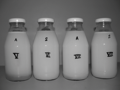 Figure 11 Shelf stability of pasteurized simulated citrus beverages containing 2% emulsions, stabilized by V) 14% Arabic and 0.3% Xanthan; VI) 14% Starch and 0.3% Xanthan; VII) 14% Arabic and 0.8% Tragacanth; and VIII) 14% Starch and 0.8% Tragacanth, after 12 weeks storage at room temperature.