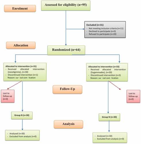 Figure 1. The CONSORT flow chart of the studied patients.