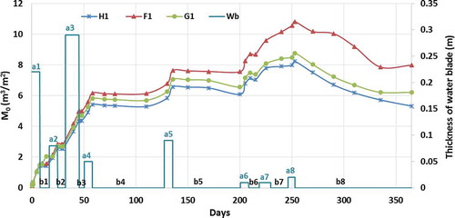 Figure 9. Calculated zeroth spatial moments M0 as functions of time for the H1, F1 and G1 soil profiles.