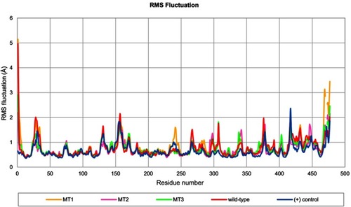 Figure 4 Profile of RMS fluctuation throughout 100 ns of MD simulation.