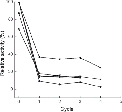 Figure 6. Variations in the relative activities versus operational cycles for the immobilized enzymes prepared or treated with different methods. ▪, normal immobilized method, as control; •, co-immobilized with kaolin; ▴, co-immobilized with diatomite; ▾, crosslinked with glutaradeyde after immobilization; ♦, presence of 0.135 M CaCl2 in reaction solution; ◂, immersion in 0.225 M CaCl2 aqueous solution after each cycle, the activity is determined after the immersion for 0.5h. The intial activity of the control is referred to as 100%.