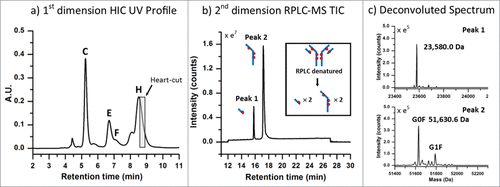Figure 4. ADC analysis using an LC(HIC)/LC(RP)/QTOF-MS approach. (A) A 0.20 min heart-cut (100 µL) was initiated post-apex on the latest eluting peak from the HIC separation (peak (H)) of the high cysteine-conjugated ADC batch. (B) The transferred fraction was desalted and separated using a 15 min gradient by RPLC with expected dissociated sub-units shown in the inset. (C) MS spectra were deconvoluted and determined to be indicative of the light-chain (23,580.0 Da) and heavy-chain (51,630.6 Da) containing 1 and 3 drugs, respectively.