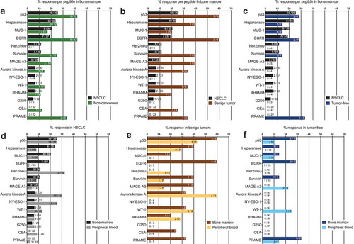 Figure 2. (A) – (C) Response rates for each of the 14 TA-specific peptides in the BM from the patients with NSCLC compared with those for patients with benign tumors or tumor-free patients. (D) – (F) Response rates for each of the 14 TA-specific peptides in the PB and BM from the patients with NSCLC or benign tumors or the tumor-free patients. Numerical data “X/Y” indicate the number of patients with PBTCs responding to a particular TA (X) relative to the total number of patients tested for TA responsiveness (Y). (D) – (F) For a better visualization of TC responsiveness in BM and PB, we show PB data that were published in our previous study.Citation8.