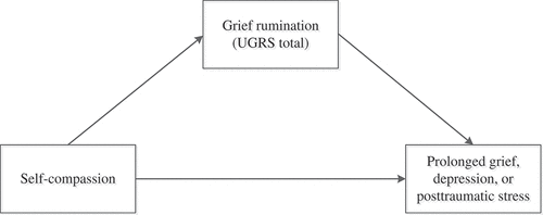 Figure 1. Single-mediation models.Note. We examined the potential mediating effect of grief rumination in the association between self-compassion and levels of prolonged grief (model 1), depression (model 2), and posttraumatic stress (model 3).