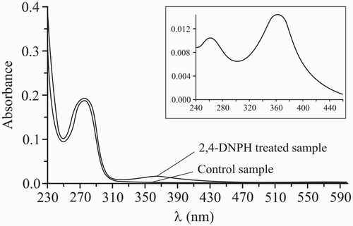Figure 2 Optical absorption spectra of 2,4-dinitrophenylhidrazone (DNP) derivative of prothrombin. Prothrombin was isolated from 1.0 ml plasma and treated with 2,4-DNPH as described in the methods. Urea solution (8 M) was used as a blank. In control samples, all the steps of carbonylation assay procedure were retained, with the exception of the addition of 2,4-DNPH. The inset shows the differential spectrum (2,4-DNPH-treated control).