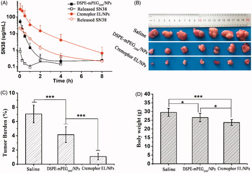 Figure 4. Plasma concentration–time profiles in rat following a single intravenous administration at the SN38 equivalent dose of 5 mg/kg, [mean ± SD, n = 4] (A). Tumor picture (B), tumor burden (C) and mice body weight (D) after last treatment against subcutaneous CT26 tumor in BALB/C mice at the equivalent SN38 dose of 5 × 10 mg/kg/2 day, [mean ± SD, n = 7], *p <.001, ***p < .001.