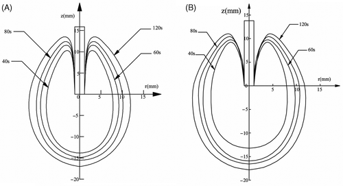 Figure 7. Ablation patterns at 54°C contours in the simulation (A) and the experiment (B).