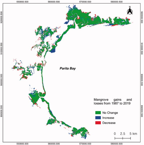 Figure 4. Mangrove gains and losses from 1987 to 2019 in Parita Bay.