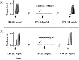 Figure 5 Representative tracings showing the reversible inhibitory effect of (A) nifedipine and (B) verapamil on the oxytocic activity of crude papaya latex on isolated non-gravid rat uterus. Similar results were obtained in chymopapain- and papain-treated uterine strips. Consistent results were observed in at least six experiments.