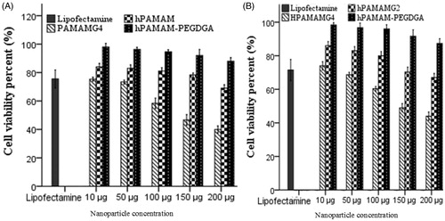 Figure 4. Cell viability of hPAMAM and hPAMAM–PEGDGA. (A) Cell viability on 4 h after treatment by nanoparticles (Lipofectamine, PAMAM-G4, hPAMAM, hPAMAM–PEGDGA) in MCF7 (A) and MDA-MB231 (B) cell lines at various polymer concentration.