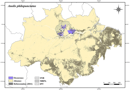 Figure 10. Occurrence area and records of Anolis philopunctatus, showing the overlap with protected and deforested areas.