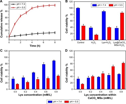 Figure 7 Lys release results and cell viability studies of osteoblasts.Notes: (A) The release profiles of Lys from Lys@CaCO3 MSs at pH = 7.4 and 5.5. (B) Cell viability studies of osteoblasts cultured under different conditions. Cell viability studies of osteoblasts faced with free Lys (C) and Lys@CaCO3 MSs (D) with varying concentrations of Lys at pH = 7.4 and 5.5 treated with H2O2.Abbreviations: Lys, L-lysine; MSs, microspheres.