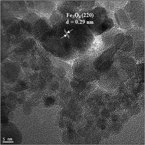 Figure 4. HR-TEM image of Fe3O4@Pectin NPs.