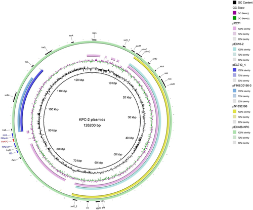 Figure 4 Circular comparative analysis of the blaKPC-2 bearing plasmids characterized in this study and deposited in GenBank database. Antimicrobial resistance genes and insertion sequence elements were labeled at the outmost ring.