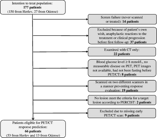 Figure 1. Patient eligibility flow chart.