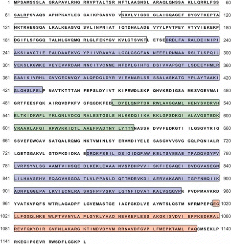 Supplementary figure S2. Amino acid sequence of putative carbamoyl-phosphate synthetase large subunit. The open reading frame was predicted by FGENESH and Conrad prediction programs. Single underlining indicates a putative mitochondrial target signal. Conserved domains are indicated with boxes. N-terminal domain; white box, ATP-binding domains: blue boxes, oligomerisation domain; green box, methylglyoxal synthase-like domain; red box, respectively.