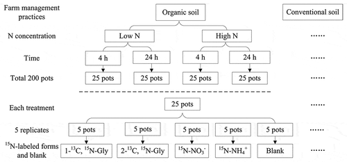Figure 1. Experimental design of labeling different 15N forms in relation to N concentration treatments, farm management treatments, and time treatments.