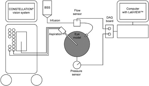 Figure 2 Experimental setup of the fluid-filled plastic eye model.