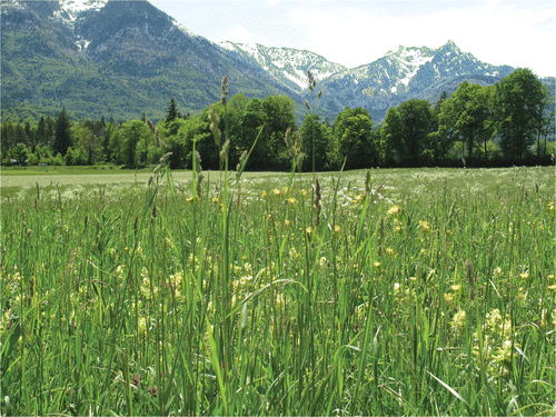 Photo 3. Hutzinger Alpenblick Pfandl Austria.