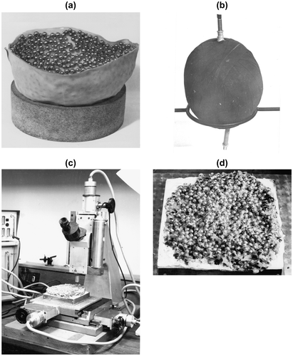 Figure 15 Building and measuring the large hard sphere model. (a) One of the two hemispherical surfaces used to suppress any crystallization at the surface; (b) the sample after binding with rubber strip; (c) the converted toolmaker’s microscope used to measure the sphere coordinates with the sample towards the end of the measurements; (d) a close-up of an exposed plane of the model.