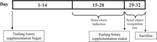 Figure 1. Methodology timeline.