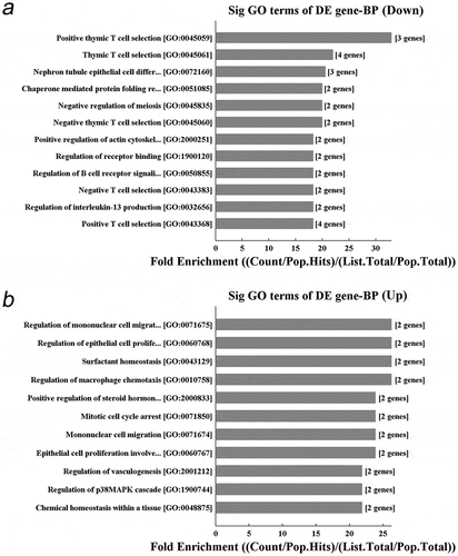 Figure 6. Significant GO biological process of the differentially expressed genes after DBDx treatment. (a) The top ten down-regulated terms in GO biological process classification; (b) The top ten up-regulated terms in GO cellular component classification. BP, biological process. DE, differentially expressed.