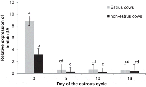 Figure 9. Relative expression of inhibin beta A on Days 0, 5, 10, and 16 of the estrous cycle for cows in the estrus and non-estrus groups. Bars having different superscripts are different (ab, ac, and adP < 0.01; bcP < 0.05; bdP < 0.10).