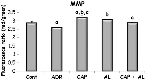 Figure 2. The effect of renin–angiotensin II inhibitors on mitochondrial membrane potential in rats with nephrotoxicity induced by ADR. MMP: Mitochondrial membrane potential, Cont: Control group, ADR: Adriamycin group, CAP: Captopril group, AL: Aliskren group, CAP + AL: Captopril plus Aliskren group. a: p < 0.05 versus CONT, b: p < 0.001 versus ADR, c: p < 0.01versus CAP + AL. All data were expressed as mean ± SEM.