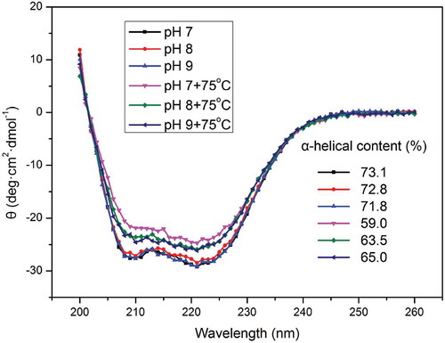 Figure 5. Far-UV circular dichroism (CD) spectroscopy of myosin with or without thermal treatment (75ºC water bath for 30 min) as a function of pH. The concentration of myosin solutions was 0.2 mg/ml.Figura 5. Espectroscopía de dicroísmo circular (CD) de UV lejano de miosina con o sin tratamiento termal (baño de agua a 75ºC durante 30 min) en función del pH. La concentración de las soluciones de miosina fue de 0.2mg/ml.
