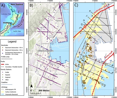 Figure 1. (A) Location map. NIFS = North Island Fault System. (B) Wellington City street map showing gravity stations. (C) Geological map showing profile lines (labelled with letters) and boreholes either intersecting basement or over 50 m deep. Geology from Begg and Mazengarb (Citation1996), simplified geological overlay based on Kaiser et al. (Citation2019).