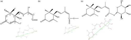 Figure 1. The structure and distance of ABA (a), ABA-ME (b) and ABAGE (c).