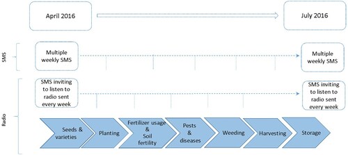 Figure 1. Scheme illustrating the deep dive study.