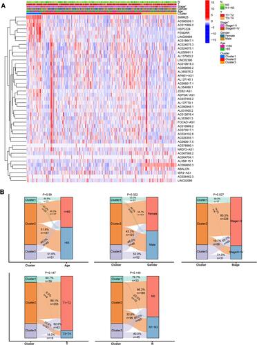 Figure 1 Clinical and molecular characteristics of the LUAD subtypes. (A) Heatmap showing lncRNA expression and clinical characteristics in the three LUAD subtypes. (B) Comparison of clinical characteristics in the three subtypes. *P < 0.05.