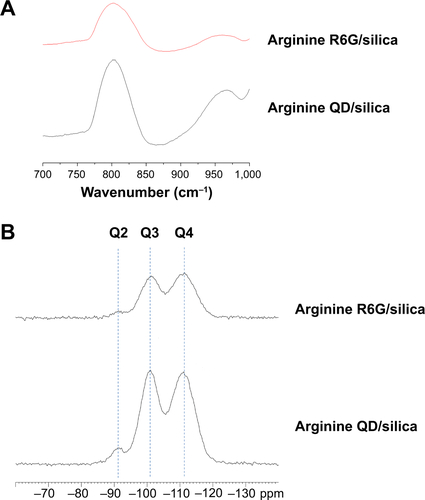 Figure S3 Infrared and 29Si nuclear magnetic resonance spectroscopy of Arginine driven R6G and QD/silica.Notes: (A) Diffuse reflectance infrared Fourier transform spectroscopy spectra of silica-coated quantum dots and Rhodamine 6G driven by arginine, focusing on ∼800 cm−1 framework peak and ∼960 cm−1 silanol peak. Samples were lyophilized and vacuum dried at 110°C for at least 12 hours and then diluted to approximately 1% by weight/KBr. Sample runs set to continue for 20 minutes from 600 to 4,500 cm−1 with 2 cm−1 resolution. (B) 29Si nuclear magnetic resonance spectra of silica-coated quantum dots and Rhodamine 6G driven by arginine. Q4, Q3, and Q2 peaks are labeled. Samples were run with the same preparation as the diffuse reflectance infrared Fourier transform spectroscopy experiment. 29Si chemical shifts were referenced to TMS (δ 29Si=0 ppm). The 29Si nuclear magnetic resonance spectra of the samples were obtained using a Bruker two-channel probe in a 4 mm rotor spun at 5 kHz. All spectra were carried out with a proton-to-silicon cross-polarization time of 5 milliseconds, a relaxation delay of 5 seconds, and ∼100 kHz proton decoupling.Abbreviations: R, Rhodamine; QD, quantum dots; KBr, potassium bromide.